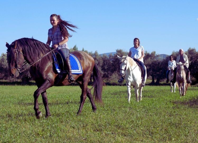 Rutas a caballo: Cabalgando hacia la Sanación: Descubre el Poder Transformador de Monachil y Campo Tejar a Caballo